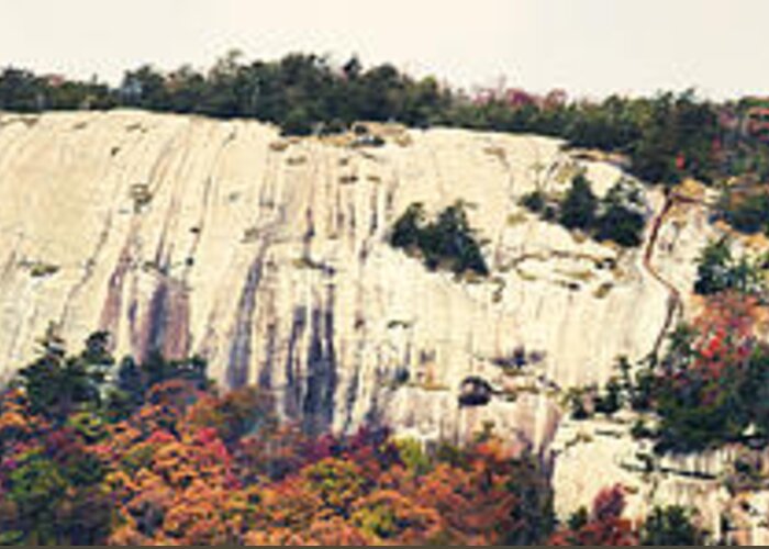 Panoramic Greeting Card featuring the photograph Table Rock #1 by Gregory Scott