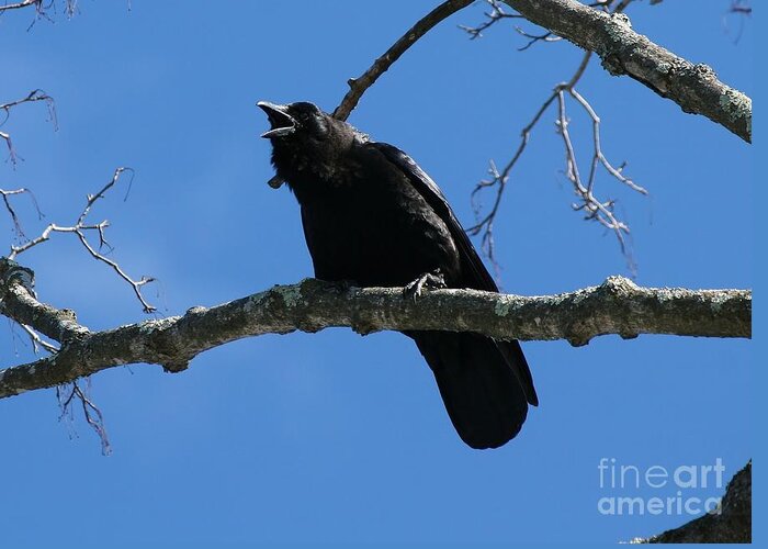 Crow Greeting Card featuring the photograph The Crow by Neal Eslinger