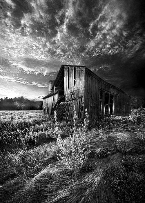 Black And White Greeting Card featuring the photograph There Was a Time #1 by Phil Koch