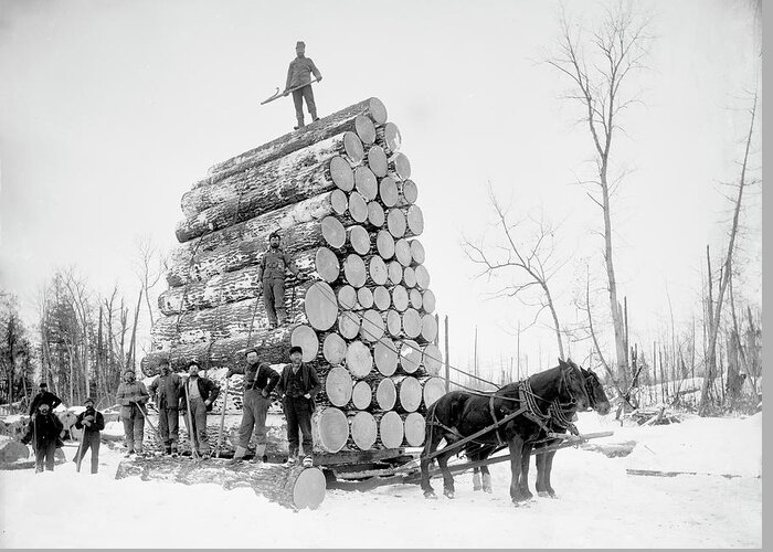 Timber Greeting Card featuring the photograph Timber Logging #1 by Library Of Congress/science Photo Library