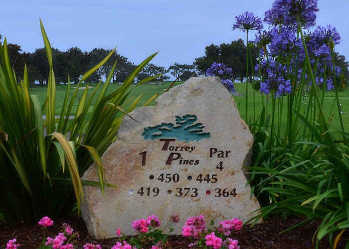 Torrey Pines Golf Course Greeting Card featuring the photograph Torrey Pines South by See My Photos