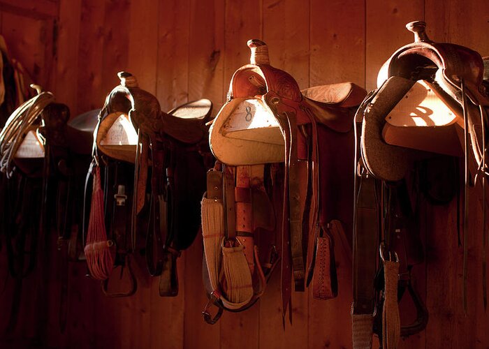 Hanging Greeting Card featuring the photograph Usa, Colorado, Saddles In Barn #1 by John Kelly