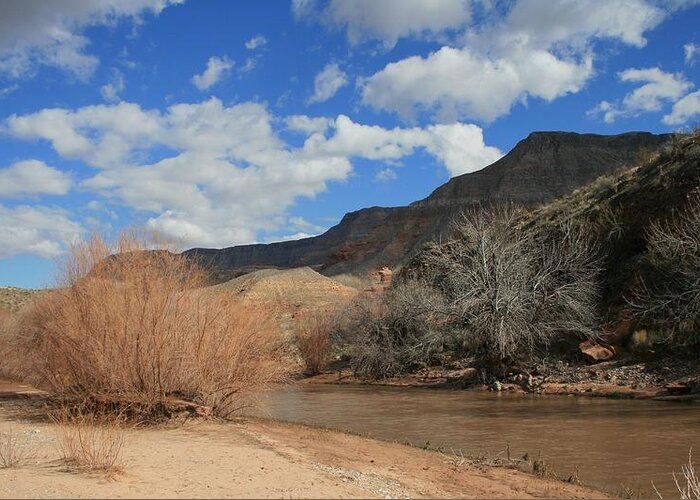 Landscape Greeting Card featuring the photograph Virgin River Arizona #1 by Horst Duesterwald