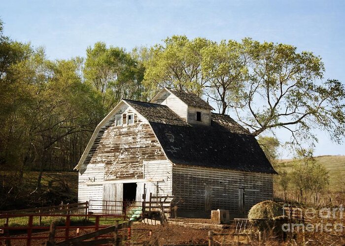 Barns Greeting Card featuring the photograph White Barn by Yumi Johnson
