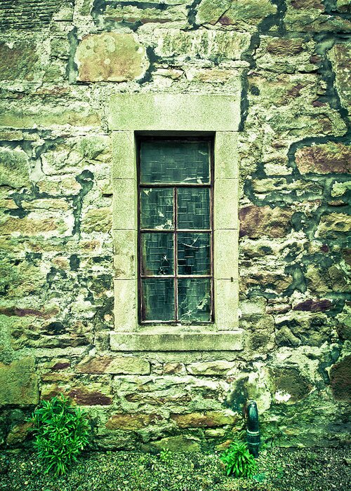 Abandoned Greeting Card featuring the photograph Window #1 by Tom Gowanlock