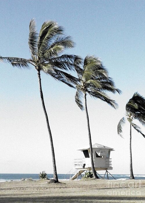 Hawaii Greeting Card featuring the digital art Windy Day #2 by Dorlea Ho