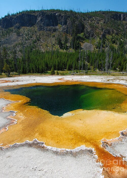 Emerald Pool Greeting Card featuring the photograph Yellowstone Emerald Pool #1 by Debra Thompson