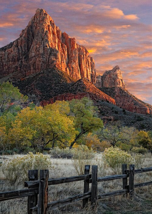 Zion National Park Greeting Card featuring the photograph Zion National Park #10 by Douglas Pulsipher