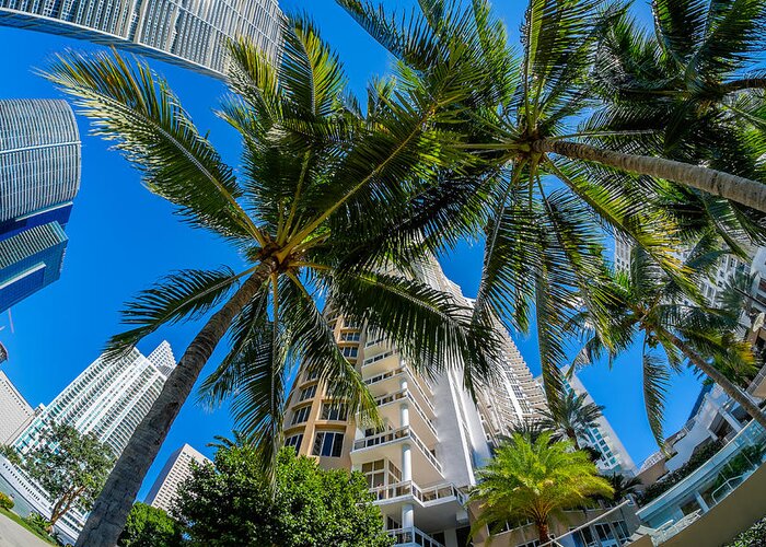 Architecture Greeting Card featuring the photograph Downtown Miami by Raul Rodriguez