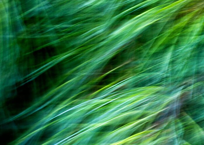 Joanne Bartone Photographer Greeting Card featuring the photograph Meditations on Movement in Nature #11 by Joanne Bartone