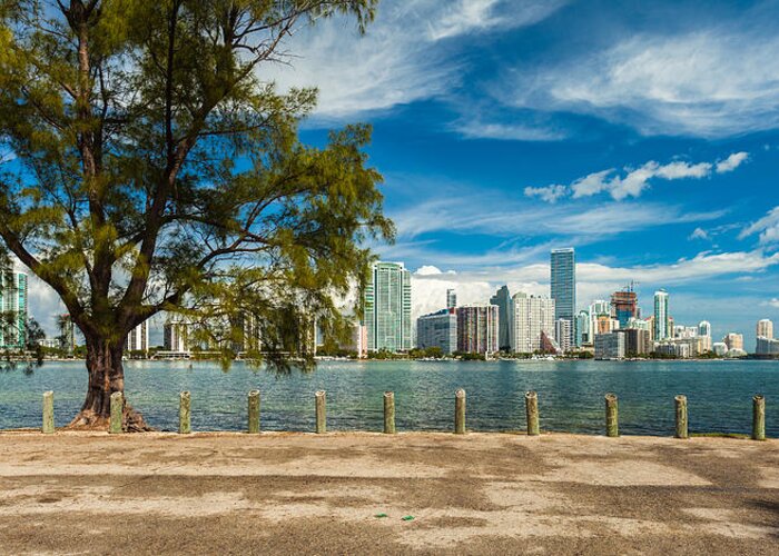 Architecture Greeting Card featuring the photograph Miami Skyline #12 by Raul Rodriguez