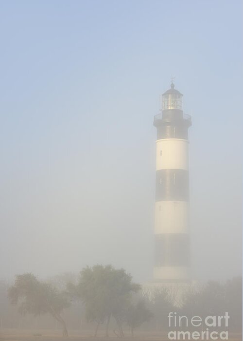 Mist Greeting Card featuring the photograph 120920p154 by Arterra Picture Library