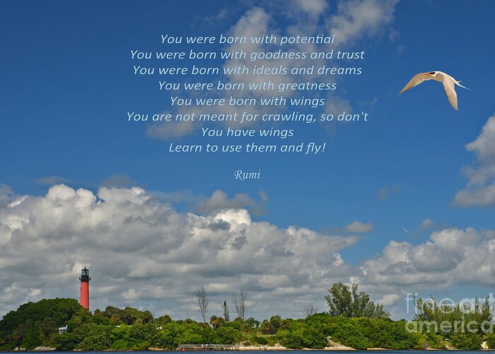 Rumi Greeting Card featuring the photograph 123- Rumi by Joseph Keane