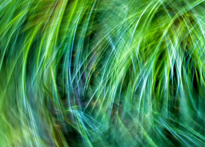 Joanne Bartone Photographer Greeting Card featuring the photograph Meditations on Movement in Nature #14 by Joanne Bartone