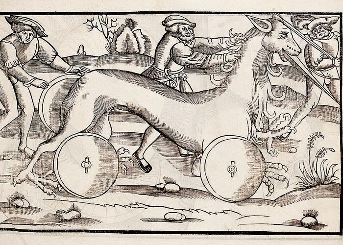 16th Century Greeting Card featuring the photograph 1532 A War Machine In The Form Of A Horse by Paul D Stewart