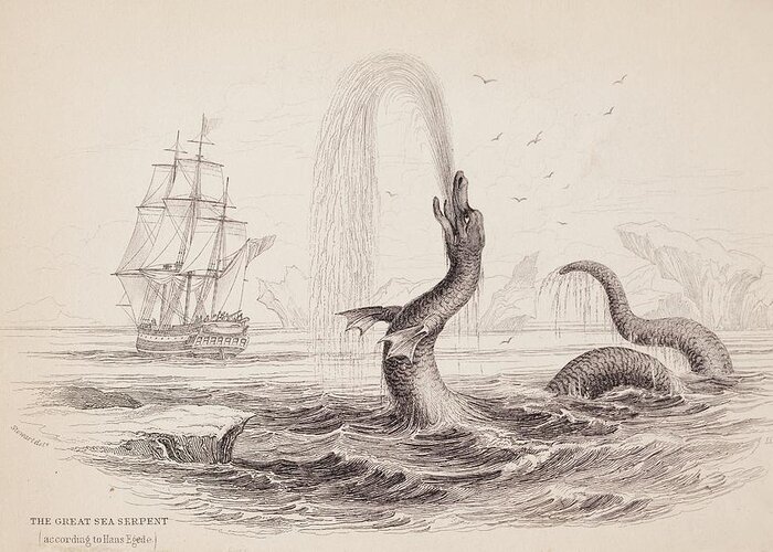 Arctic Greeting Card featuring the photograph 1734 Hans Egede Sea Monster Serpent by Paul D Stewart