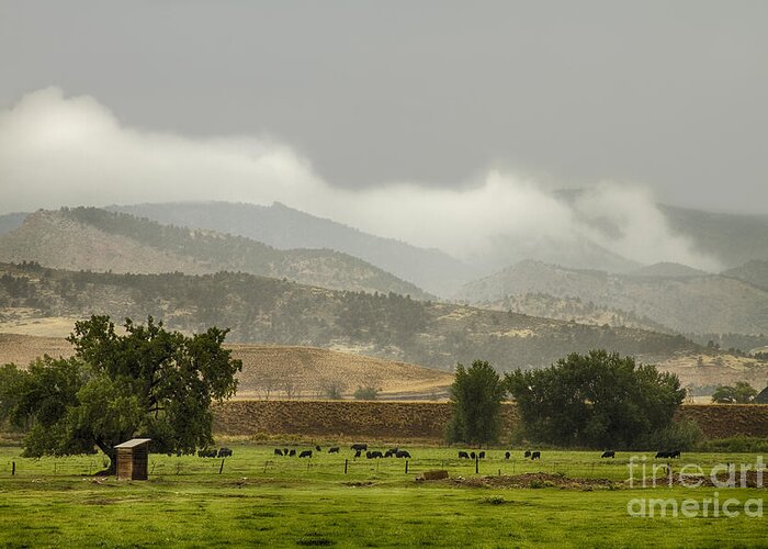 Rain Greeting Card featuring the photograph 1st Day of Rain Great Colorado Flood by James BO Insogna