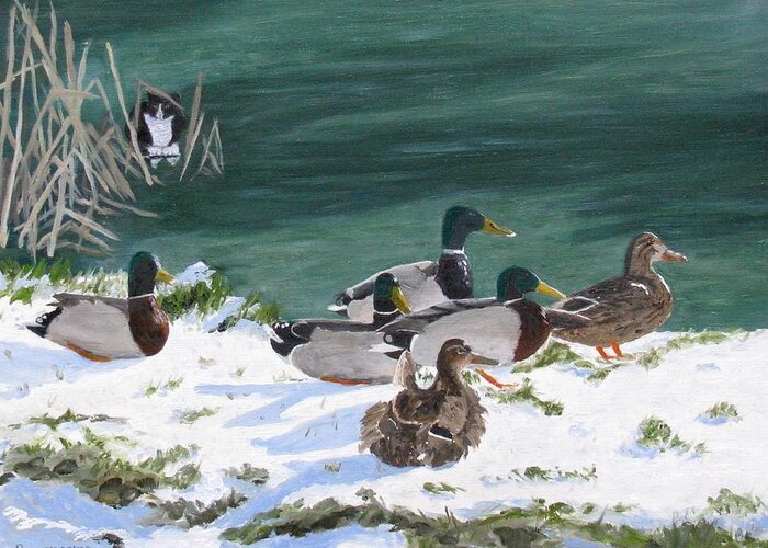 Mallard Ducks Greeting Card featuring the painting Blissfully Unaware Mallards #2 by Barb Pennypacker