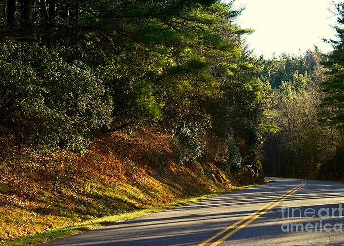 Blue Greeting Card featuring the photograph Blue Ridge Parkway #2 by Les Palenik