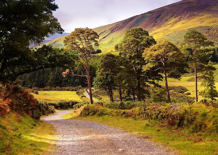 Jenny Rainbow Fine Art Photography Greeting Card featuring the photograph Celtic Spirit. Wicklow Mountains. Ireland #1 by Jenny Rainbow