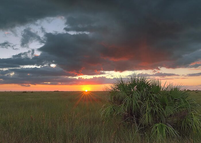 Everglades Greeting Card featuring the photograph Chekili sunset by Rudy Umans