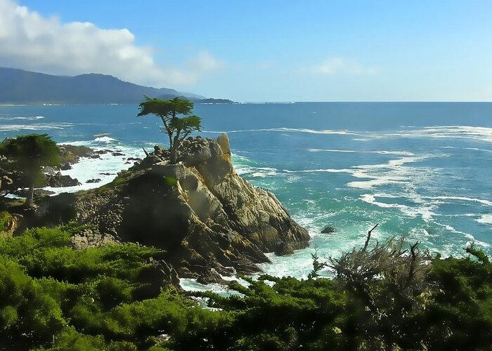 Cypress Greeting Card featuring the photograph Cypress Point #2 by Richard Stedman