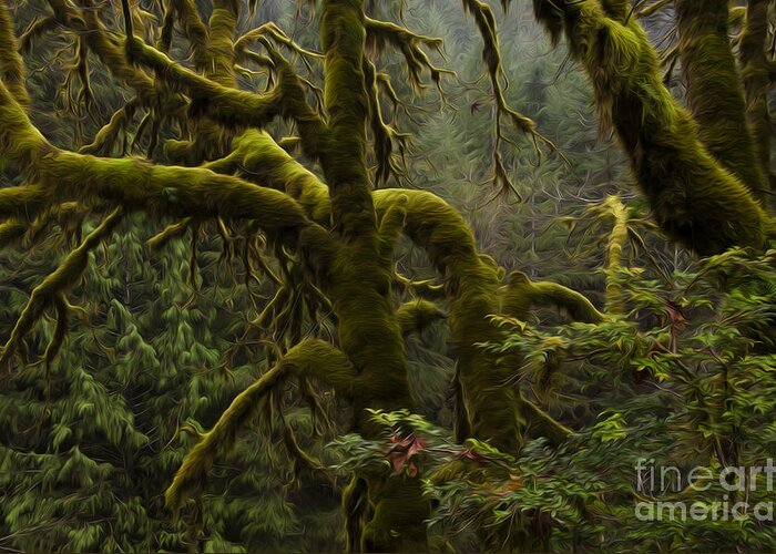 Oregon Greeting Card featuring the photograph Enchanted Spaces Edge Of The Forest Oregon 2 by Bob Christopher