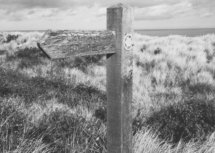 Anderby Creek Greeting Card featuring the photograph Footpath Signpost II #2 by Gemma Knight