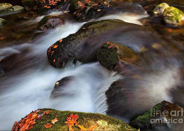 Autumn Foliage Greeting Card featuring the photograph Glistening Rocks #2 by Deborah Scannell