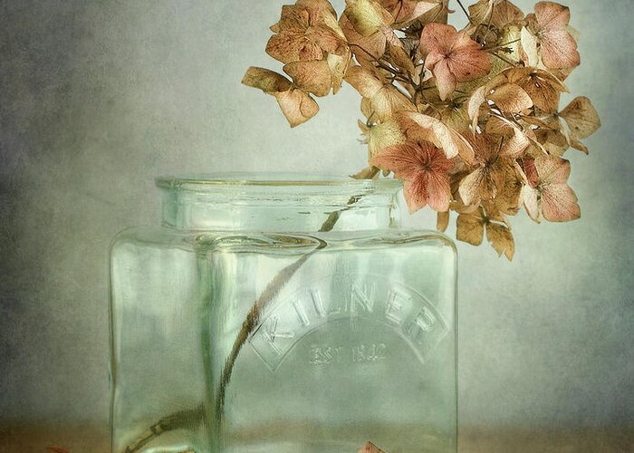 Still Life Greeting Card featuring the photograph Hydrangea by Mandy Disher