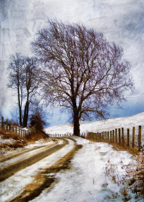 Winter Greeting Card featuring the photograph In The Distance #2 by Kathy Jennings