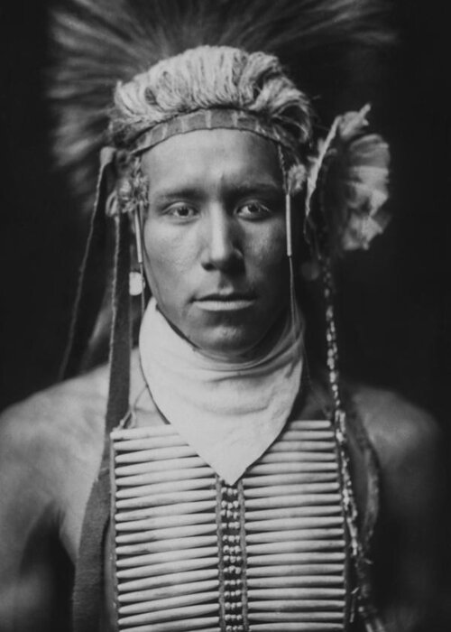 1905 Greeting Card featuring the photograph Indian of North America circa 1905 #2 by Aged Pixel