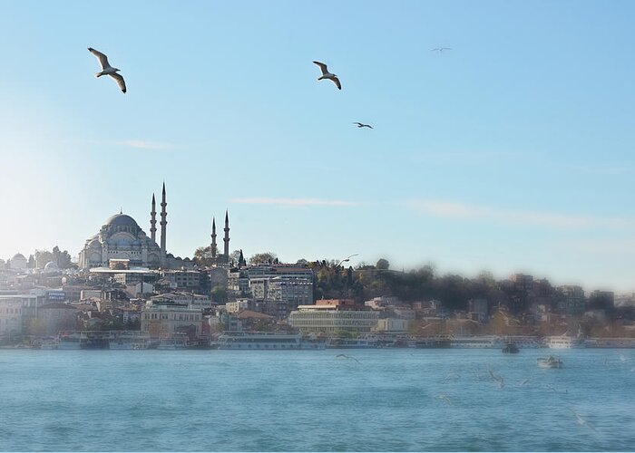 Istanbul Greeting Card featuring the photograph Istanbul #2 by Dhmig Photography