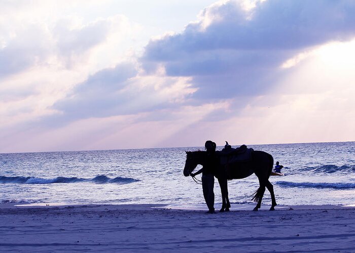 Horse Greeting Card featuring the photograph Walking Home from a Long Day by Samantha Delory