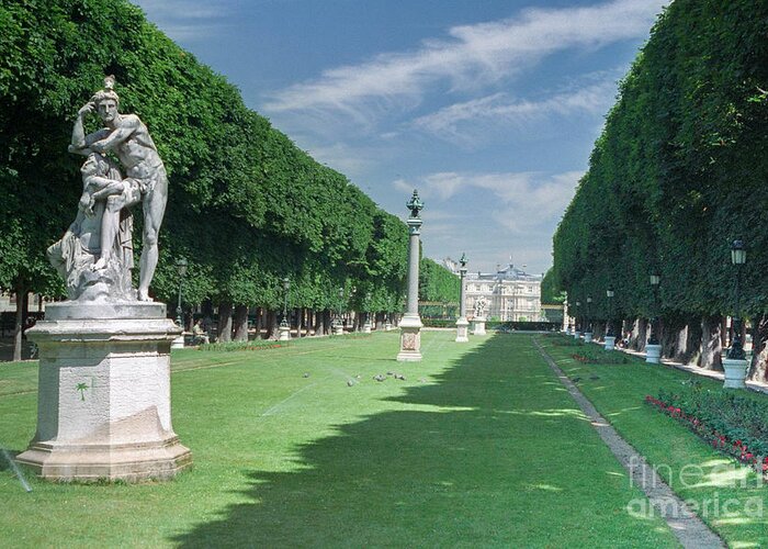France Greeting Card featuring the photograph Jardin du Luxembourg Paris by Thomas Marchessault