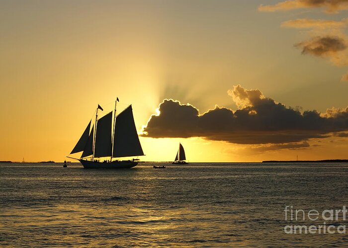 Key West Greeting Card featuring the photograph Key West Sunset #2 by Olga Hamilton