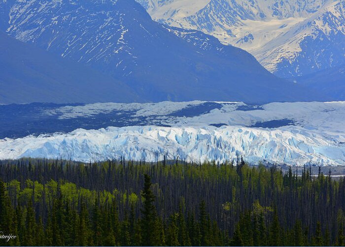 Alaska Greeting Card featuring the photograph Matanuska Glacier #2 by Andrew Matwijec