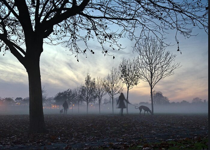Dogs Greeting Card featuring the photograph Misty afternoon in the park #2 by Gary Eason