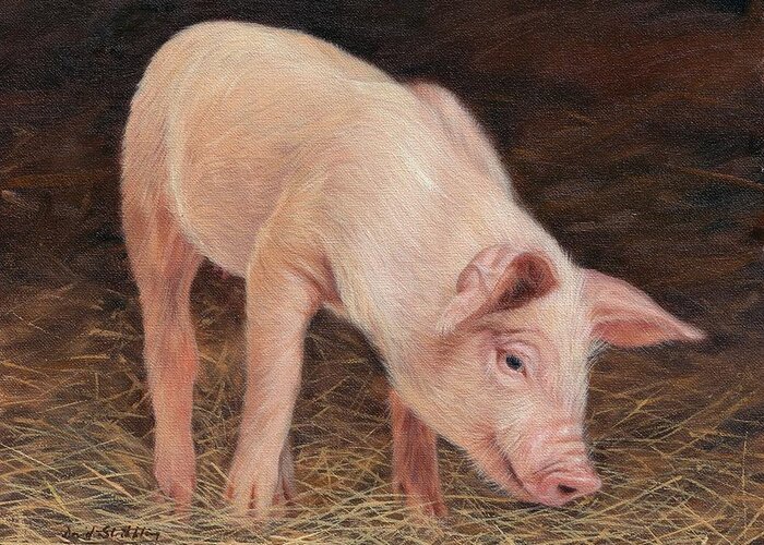 Pig Greeting Card featuring the painting Pig #3 by David Stribbling