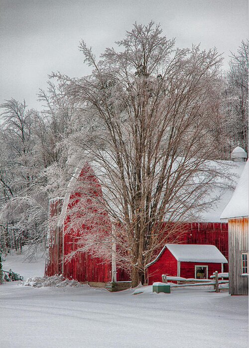 Scenic Vermont Photographs Greeting Card featuring the photograph Red vermont barn by Jeff Folger