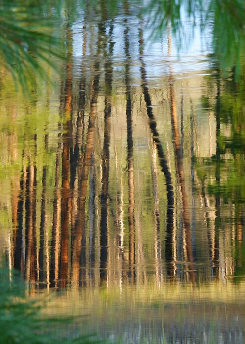 Trees Greeting Card featuring the photograph Reflections on the river #2 by Loni Collins