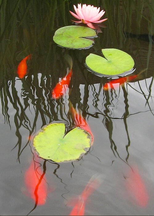 Koi Greeting Card featuring the photograph Rippled Reeds #2 by Tracy Male