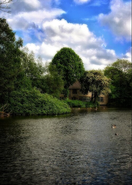 Trees Greeting Card featuring the photograph River Weir At Bakewell - Peak District - England #2 by Doc Braham