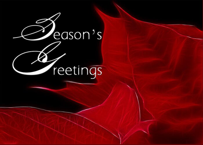 Poinsettia Greeting Card featuring the photograph Season's Greetings #2 by Blair Wainman