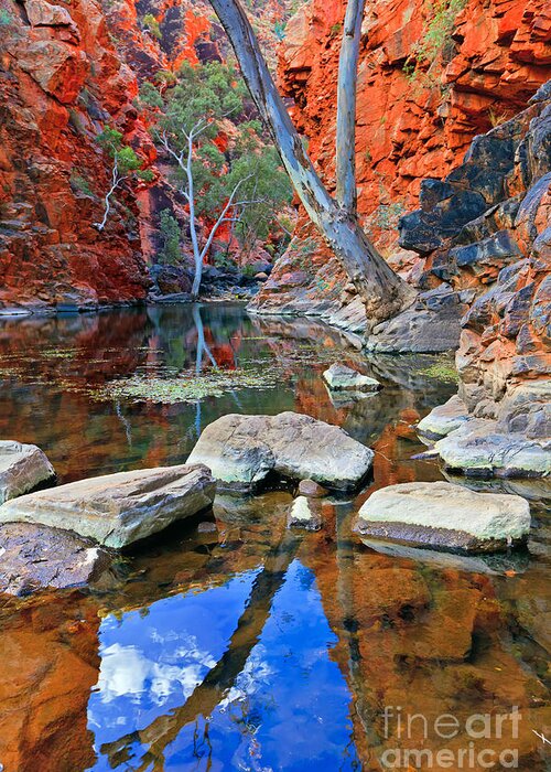Serpentine Gorge Central Australia Northern Territory Outback Landscape Australian Gum Tree Water Hole Greeting Card featuring the photograph Serpentine Gorge Central Australia #3 by Bill Robinson