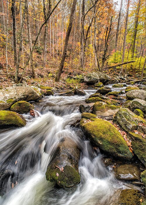 Gatlinburg Greeting Card featuring the photograph Smoky Mountain Stream 2 by Victor Culpepper