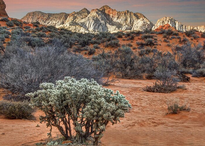Snow Canyon State Park Greeting Card featuring the photograph Snow Canyon State Park Utah #2 by Douglas Pulsipher