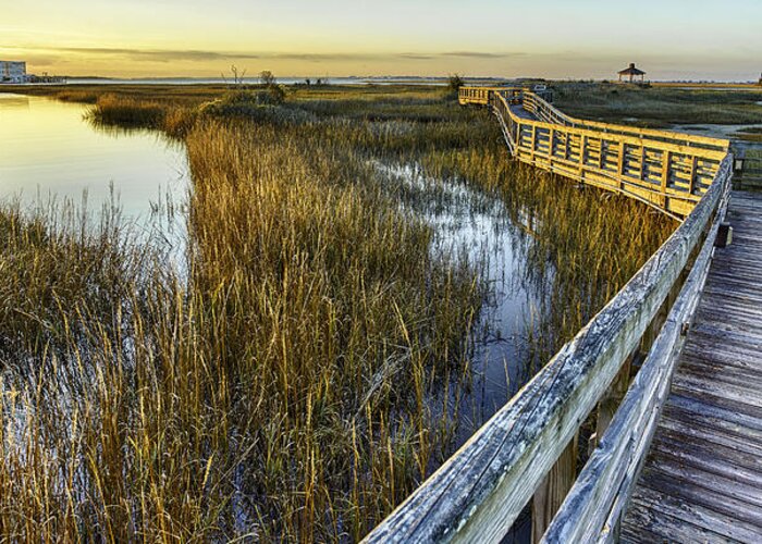 Southport Greeting Card featuring the photograph Southport Salt Marsh Walkway #2 by Nick Noble