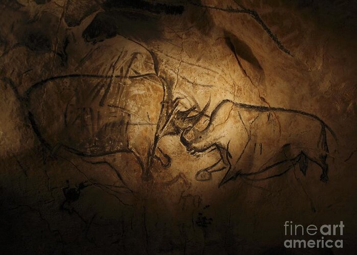 Animal Greeting Card featuring the photograph Stone-age Cave Paintings, Chauvet, France #2 by Javier Trueba/msf