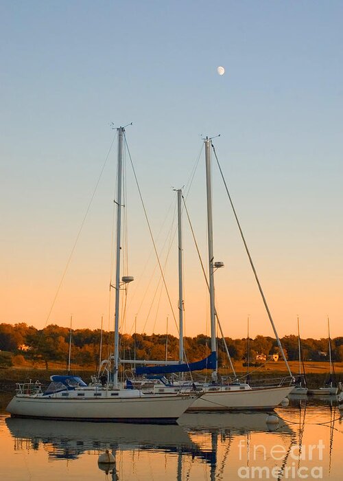 Sailboat Greeting Card featuring the photograph Sunday Afternoon #1 by Joann Vitali